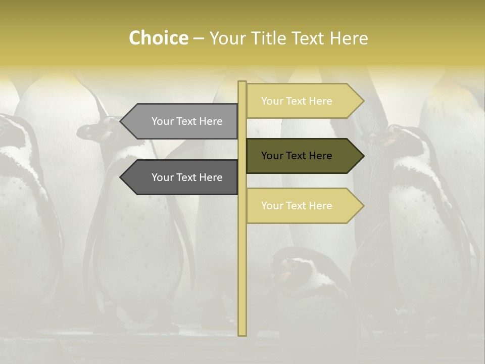 Penguins Emperor Penguins Huddle PowerPoint Template