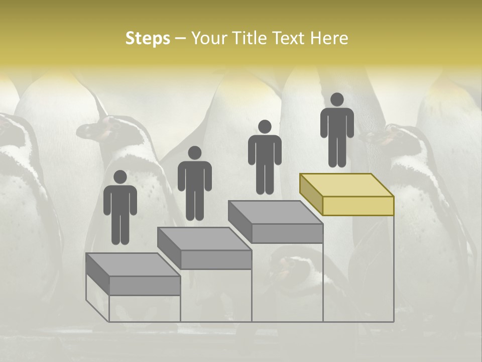 Penguins Emperor Penguins Huddle PowerPoint Template