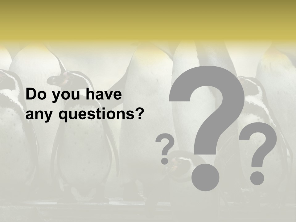 Penguins Emperor Penguins Huddle PowerPoint Template