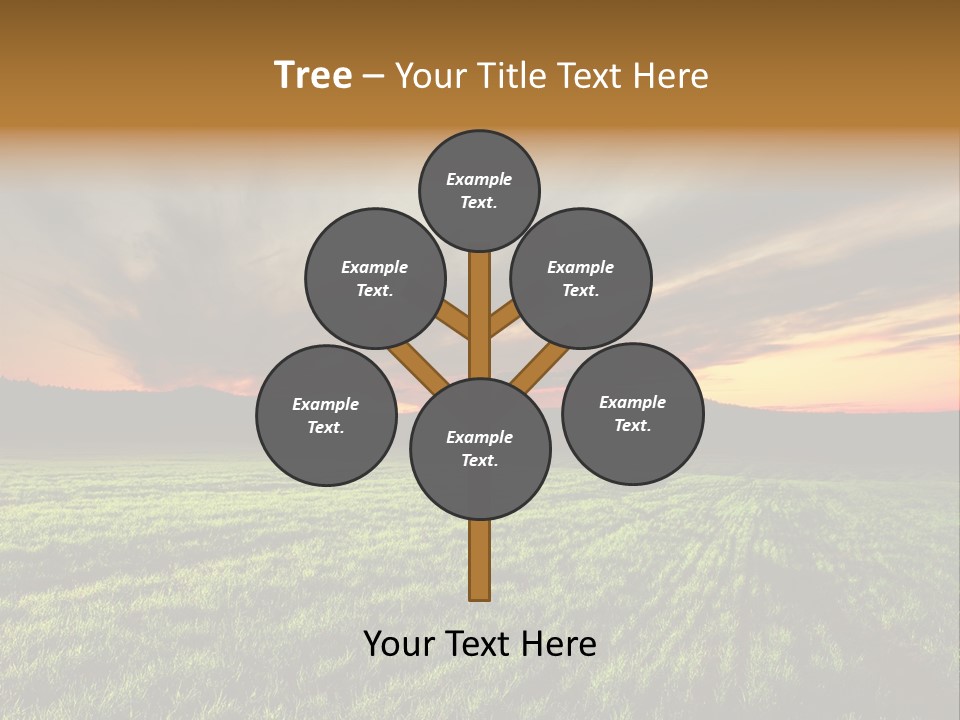 Grandmother Senior Seniorcitizen PowerPoint Template