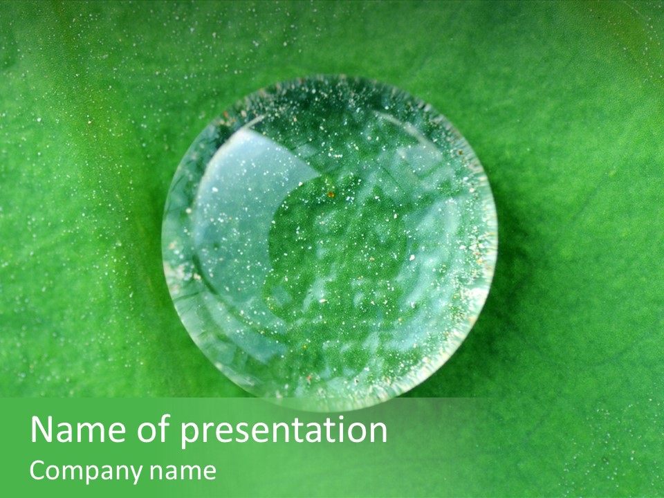 Organic Wet Waterdrop PowerPoint Template