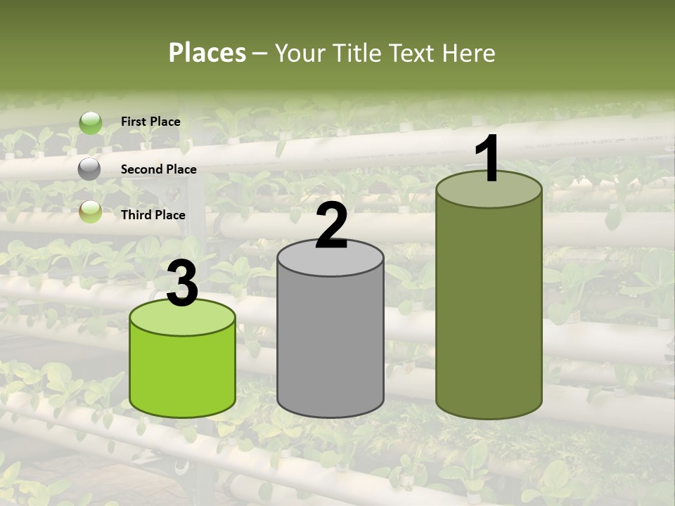 Plants Spring Cultivation PowerPoint Template