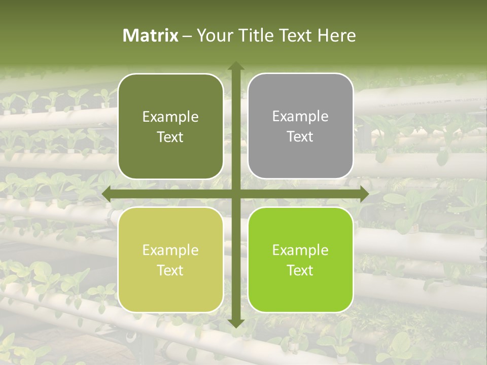 Plants Spring Cultivation PowerPoint Template