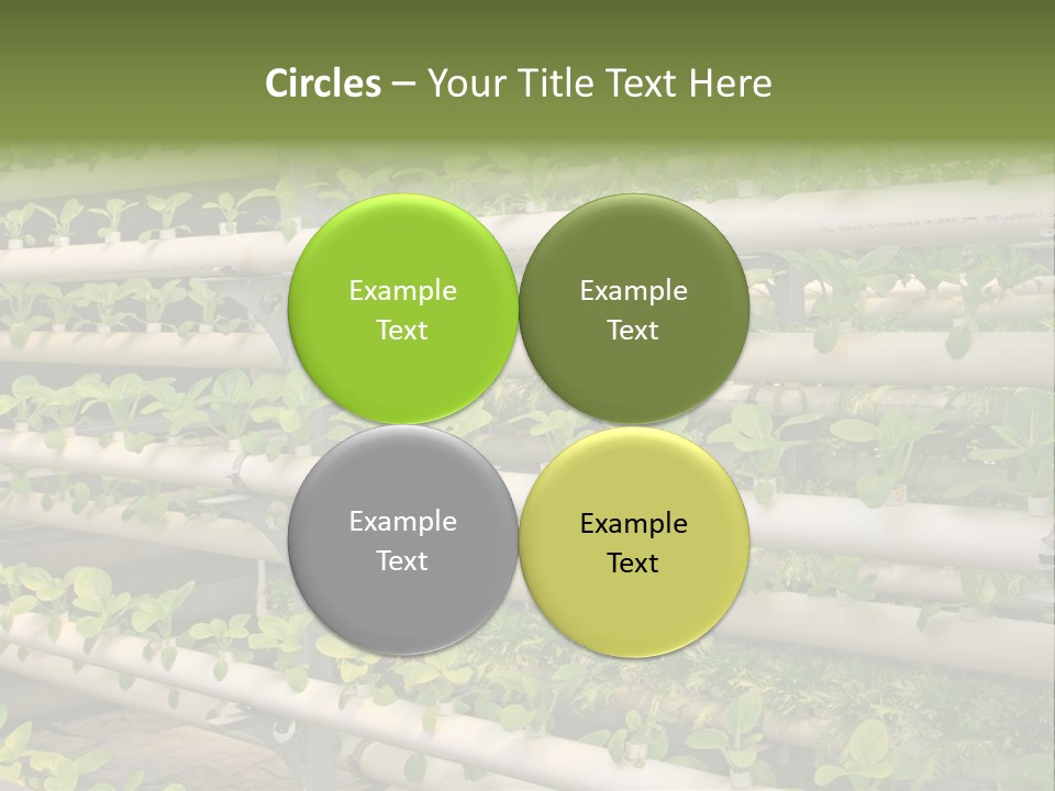 Plants Spring Cultivation PowerPoint Template