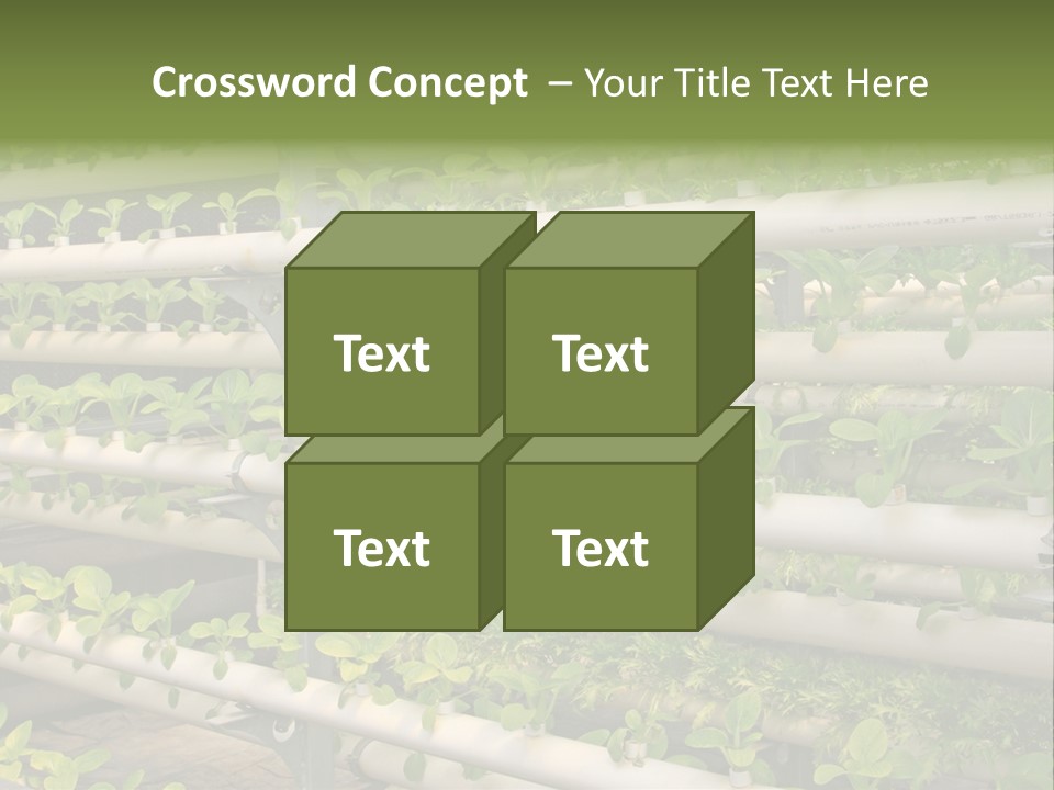 Plants Spring Cultivation PowerPoint Template