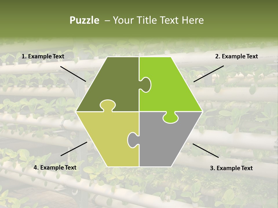 Plants Spring Cultivation PowerPoint Template