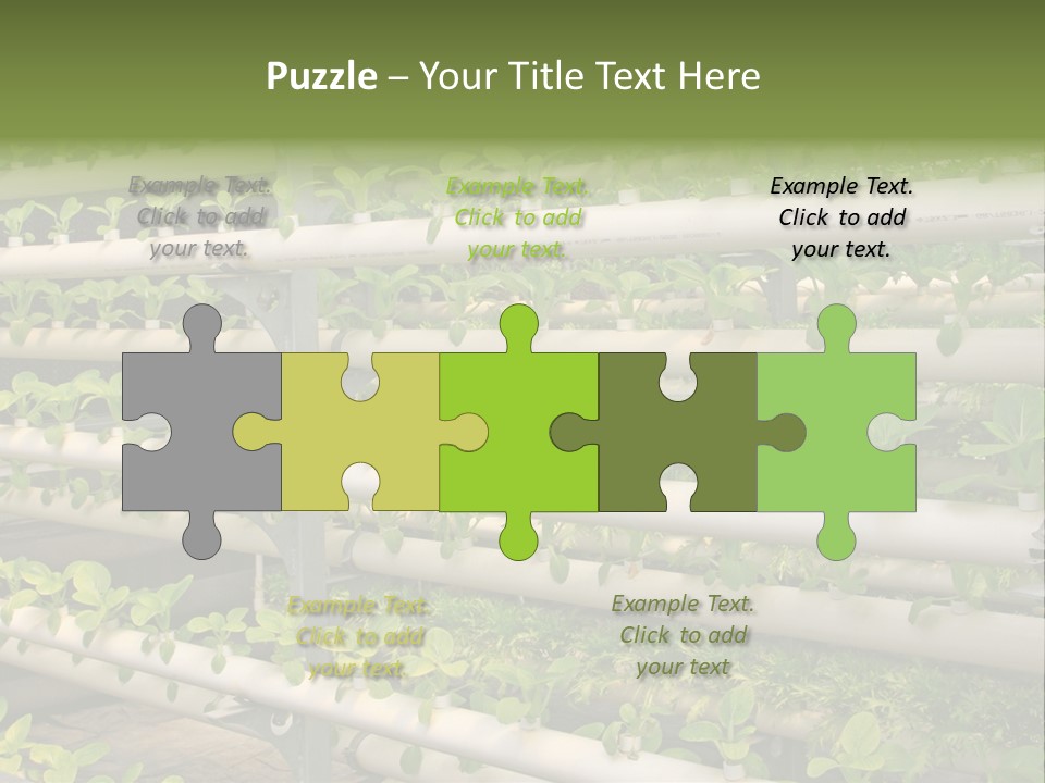 Plants Spring Cultivation PowerPoint Template