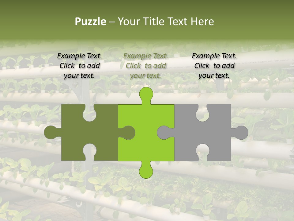 Plants Spring Cultivation PowerPoint Template