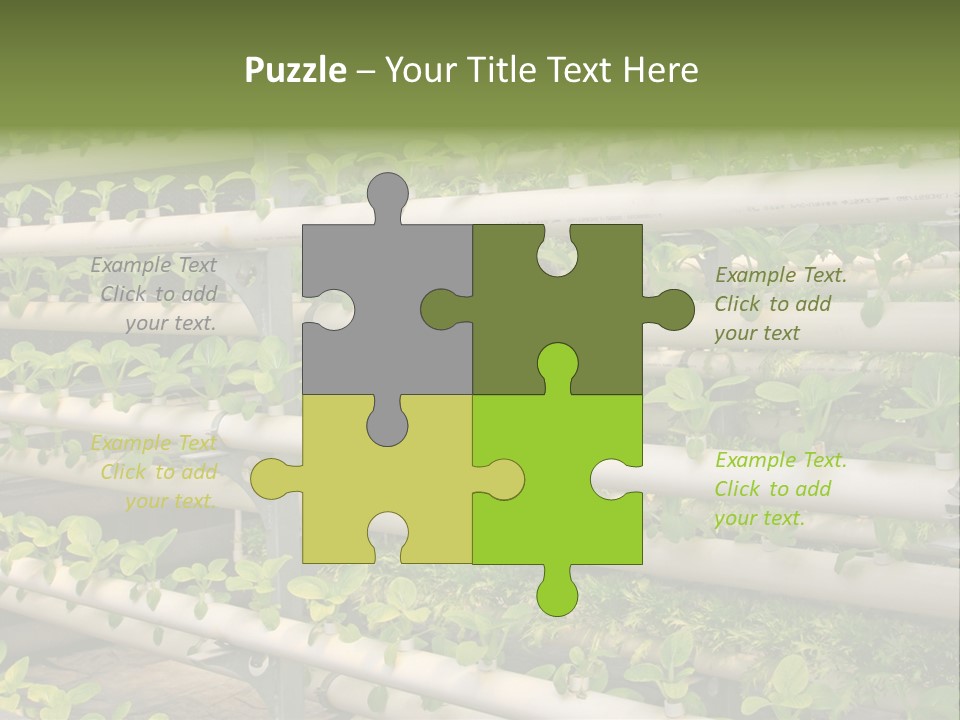 Plants Spring Cultivation PowerPoint Template