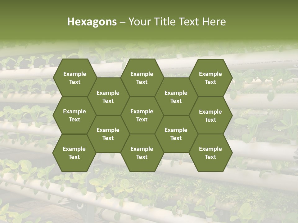 Plants Spring Cultivation PowerPoint Template