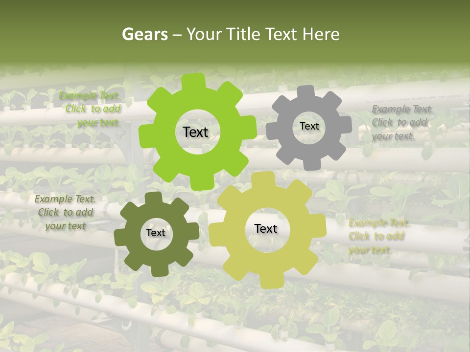 Plants Spring Cultivation PowerPoint Template