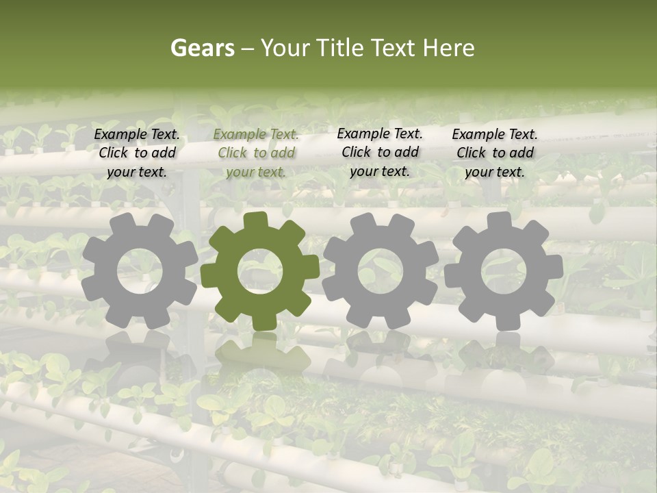 Plants Spring Cultivation PowerPoint Template