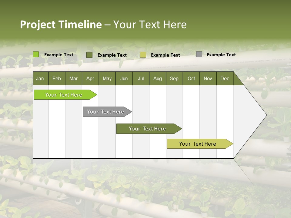 Plants Spring Cultivation PowerPoint Template