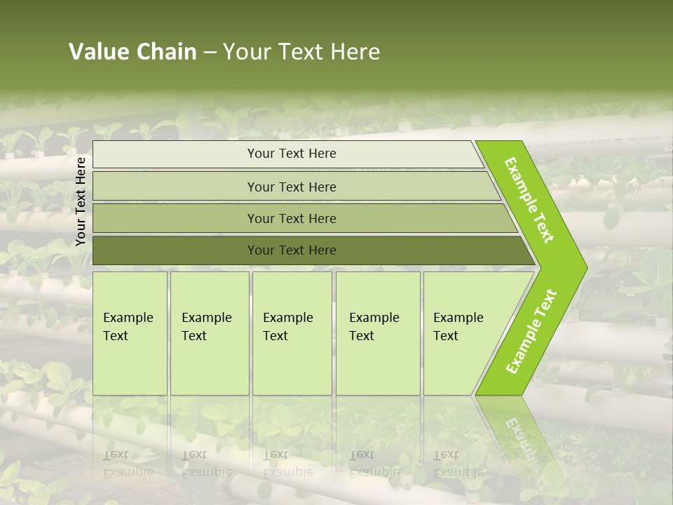 Plants Spring Cultivation PowerPoint Template
