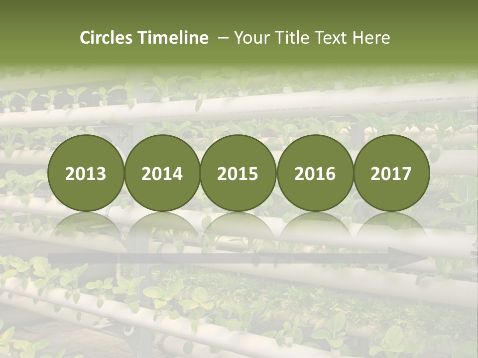 Plants Spring Cultivation PowerPoint Template