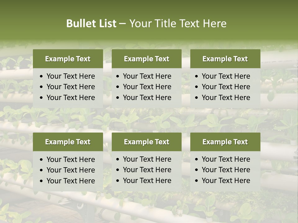 Plants Spring Cultivation PowerPoint Template