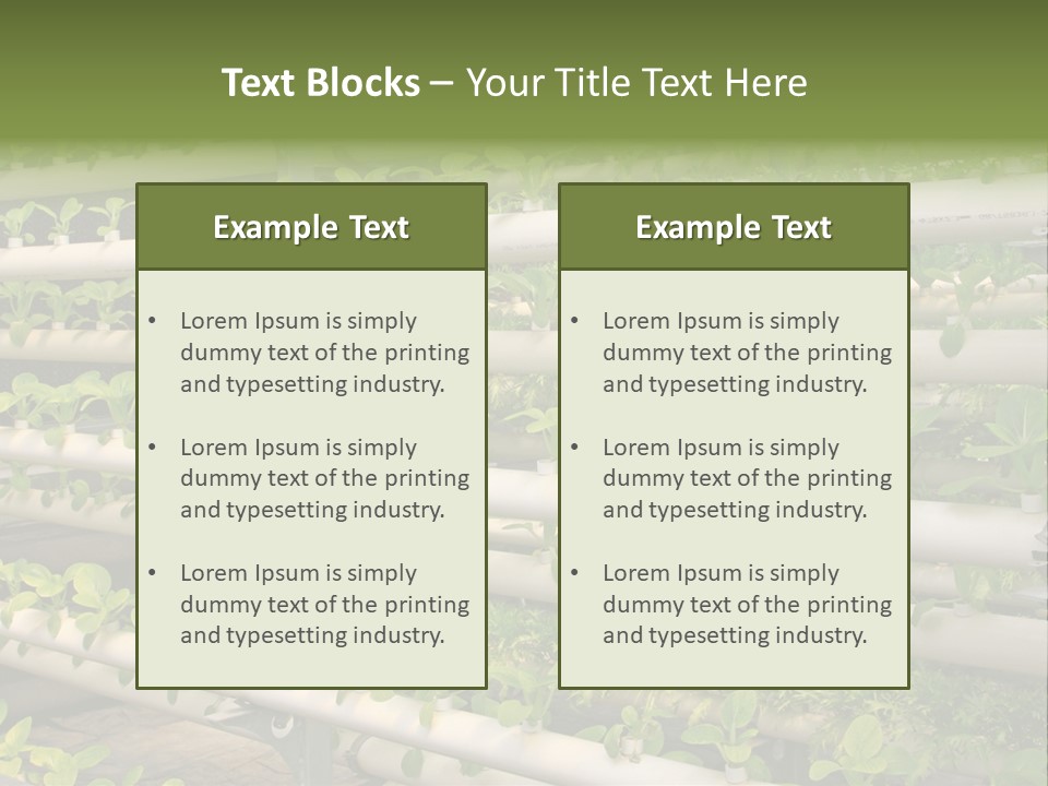 Plants Spring Cultivation PowerPoint Template