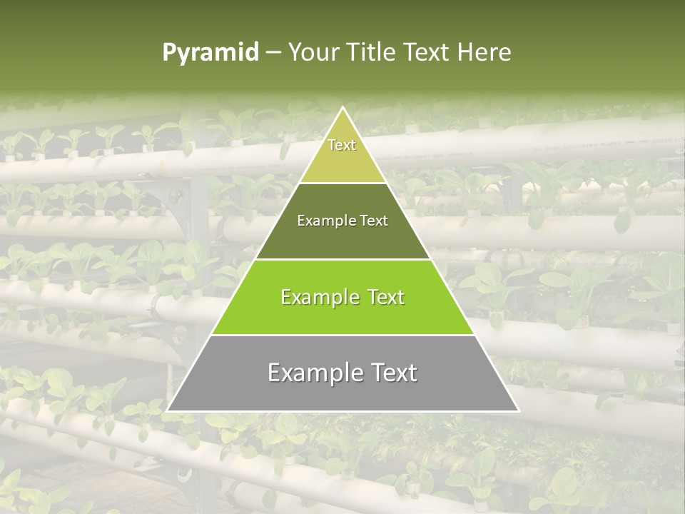 Plants Spring Cultivation PowerPoint Template