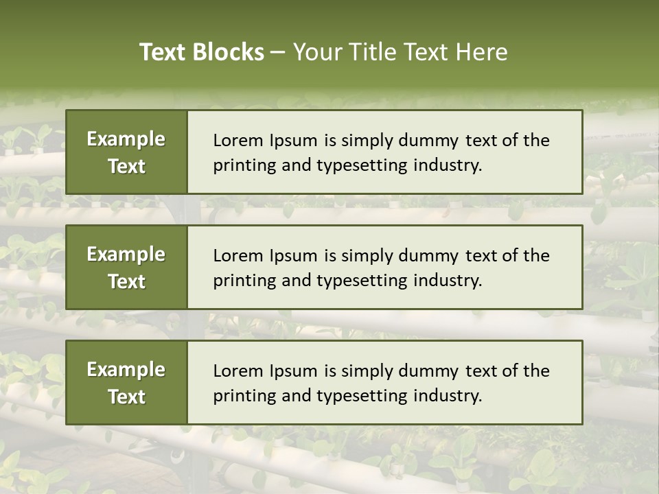 Plants Spring Cultivation PowerPoint Template