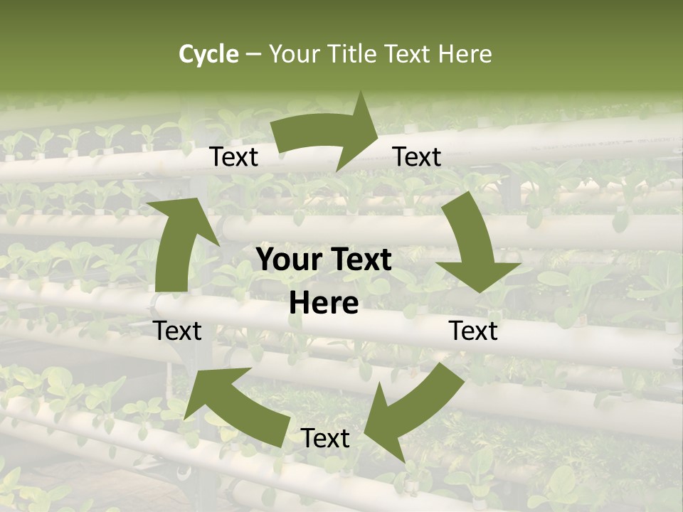 Plants Spring Cultivation PowerPoint Template