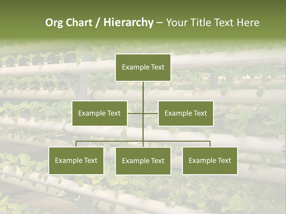 Plants Spring Cultivation PowerPoint Template