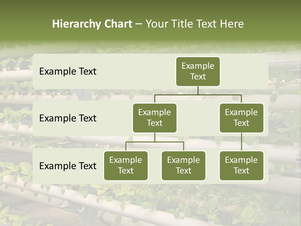 Plants Spring Cultivation PowerPoint Template