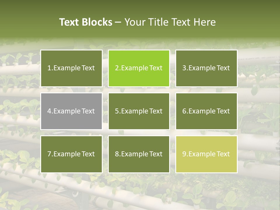 Plants Spring Cultivation PowerPoint Template