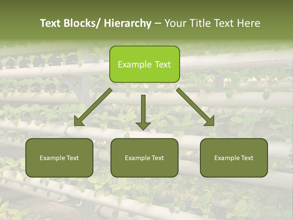 Plants Spring Cultivation PowerPoint Template