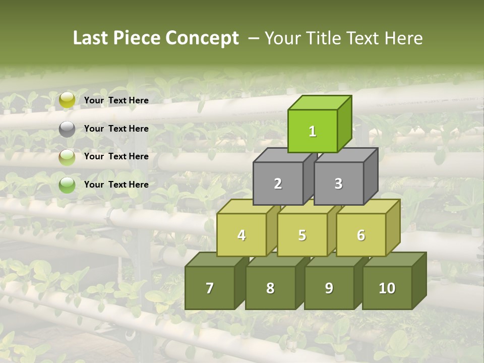 Plants Spring Cultivation PowerPoint Template