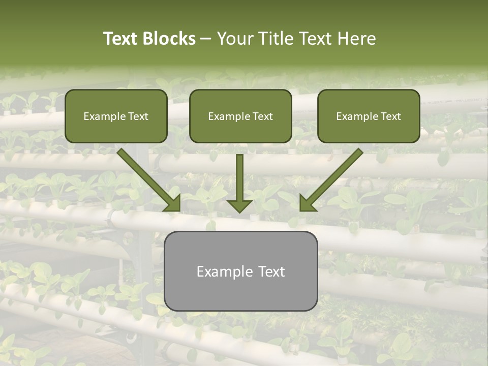 Plants Spring Cultivation PowerPoint Template