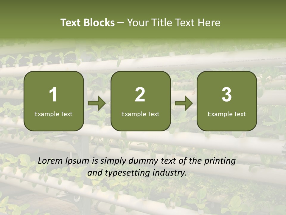 Plants Spring Cultivation PowerPoint Template