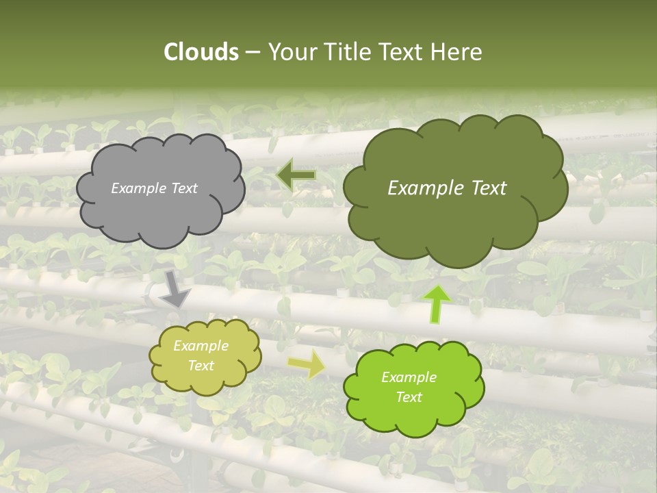 Plants Spring Cultivation PowerPoint Template