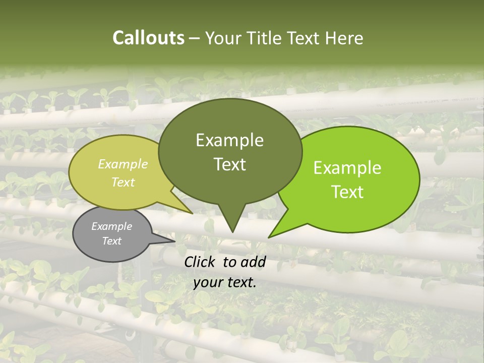 Plants Spring Cultivation PowerPoint Template