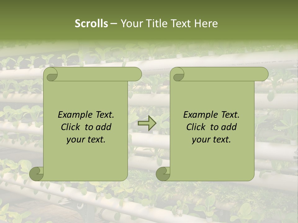 Plants Spring Cultivation PowerPoint Template