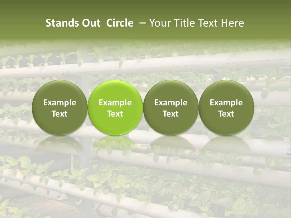 Plants Spring Cultivation PowerPoint Template