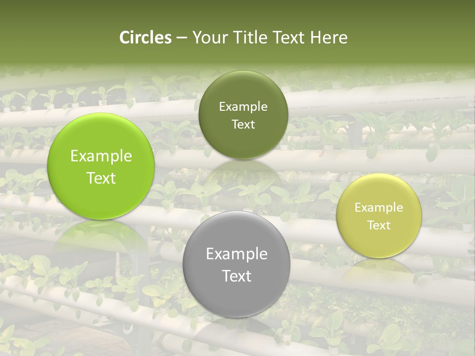 Plants Spring Cultivation PowerPoint Template