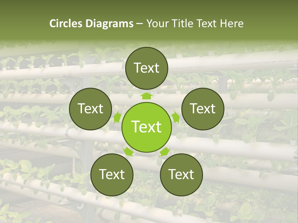 Plants Spring Cultivation PowerPoint Template