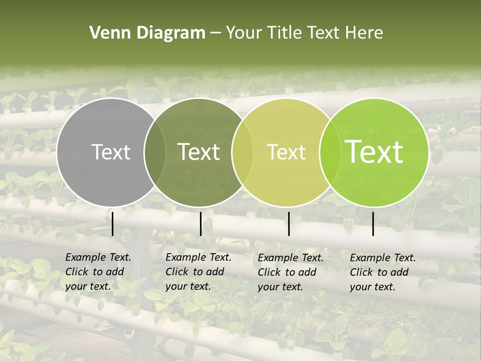 Plants Spring Cultivation PowerPoint Template