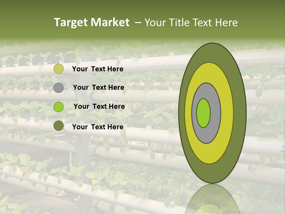 Plants Spring Cultivation PowerPoint Template