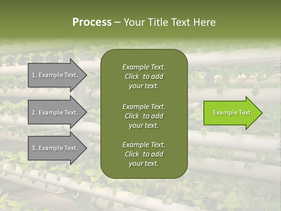 Plants Spring Cultivation PowerPoint Template