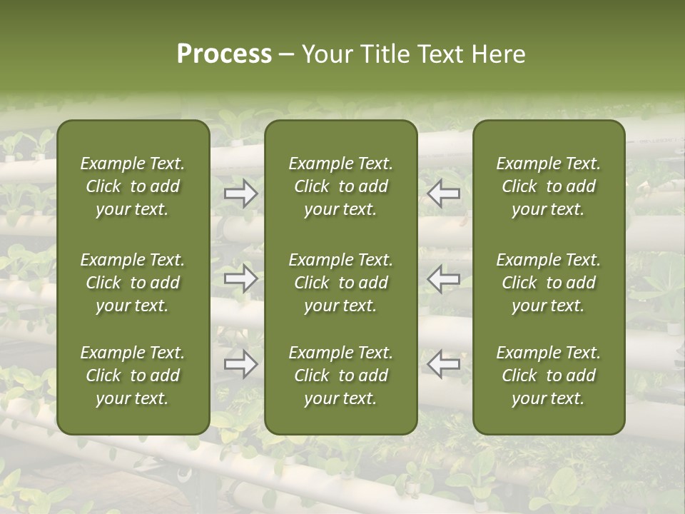 Plants Spring Cultivation PowerPoint Template