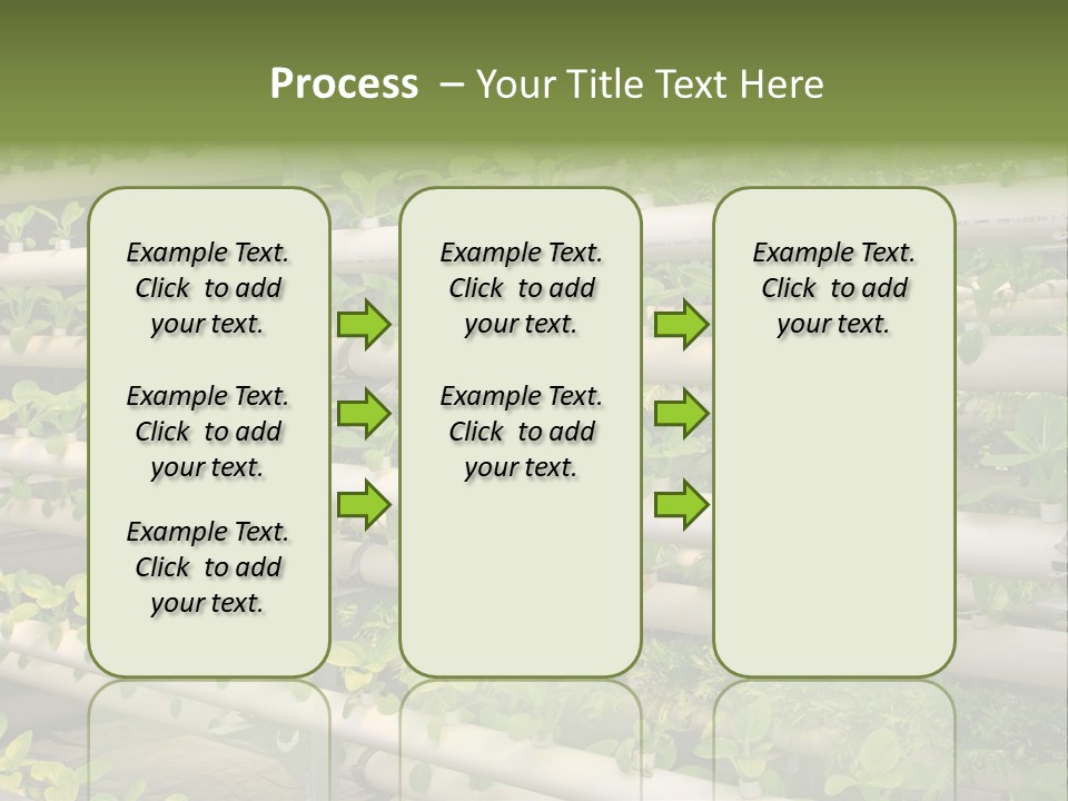 Plants Spring Cultivation PowerPoint Template