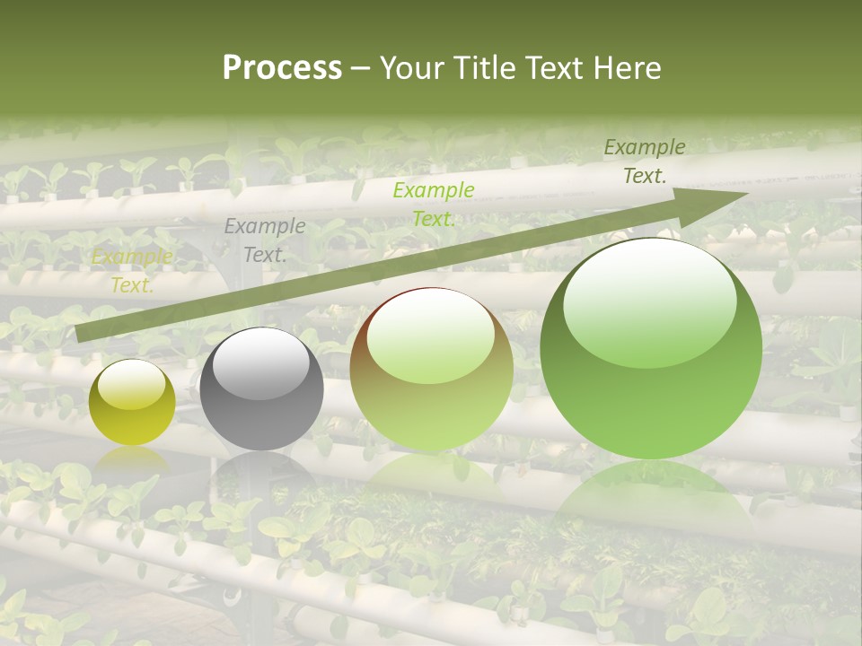 Plants Spring Cultivation PowerPoint Template
