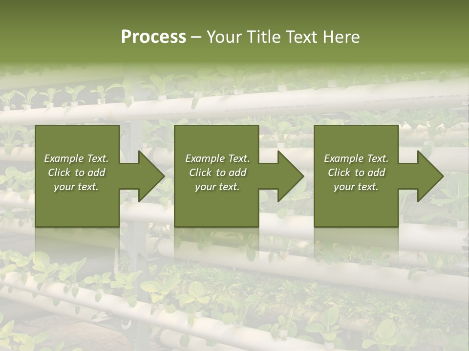 Plants Spring Cultivation PowerPoint Template