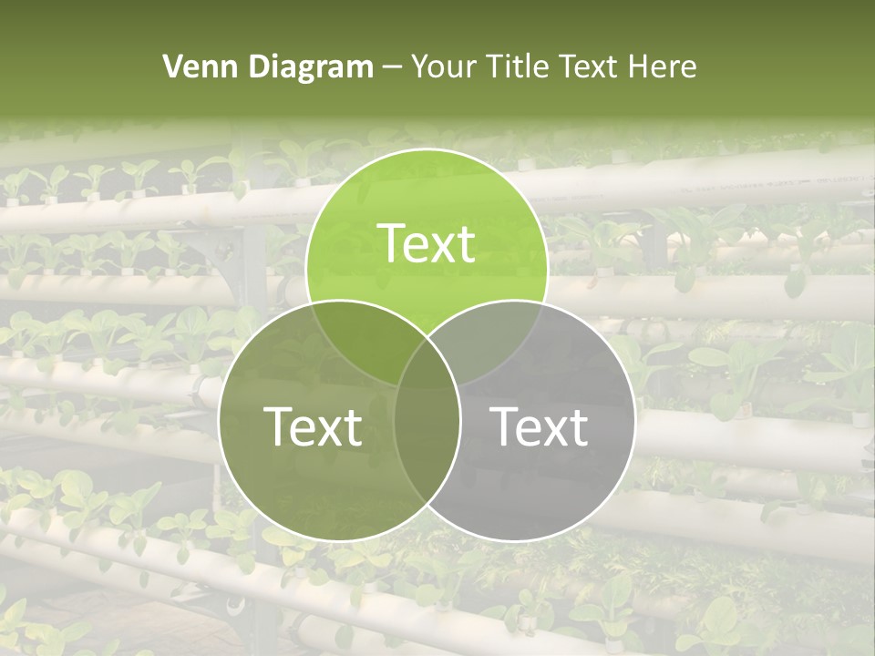 Plants Spring Cultivation PowerPoint Template