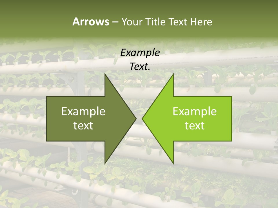 Plants Spring Cultivation PowerPoint Template