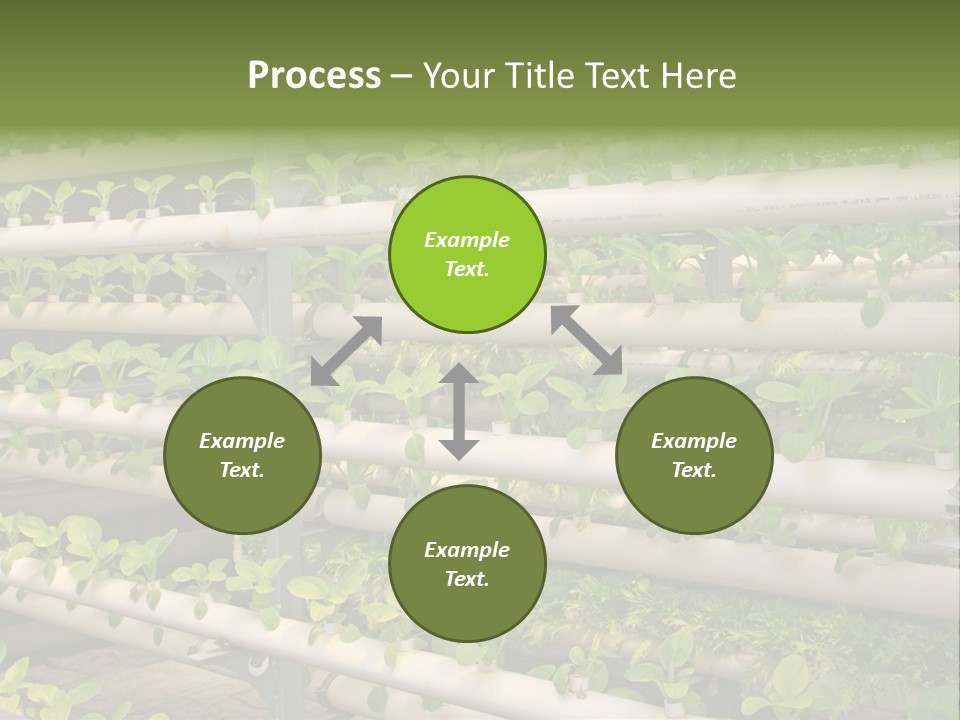 Plants Spring Cultivation PowerPoint Template