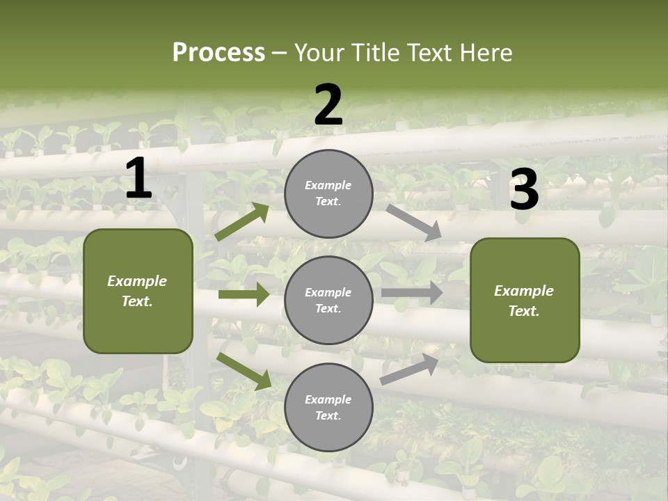Plants Spring Cultivation PowerPoint Template