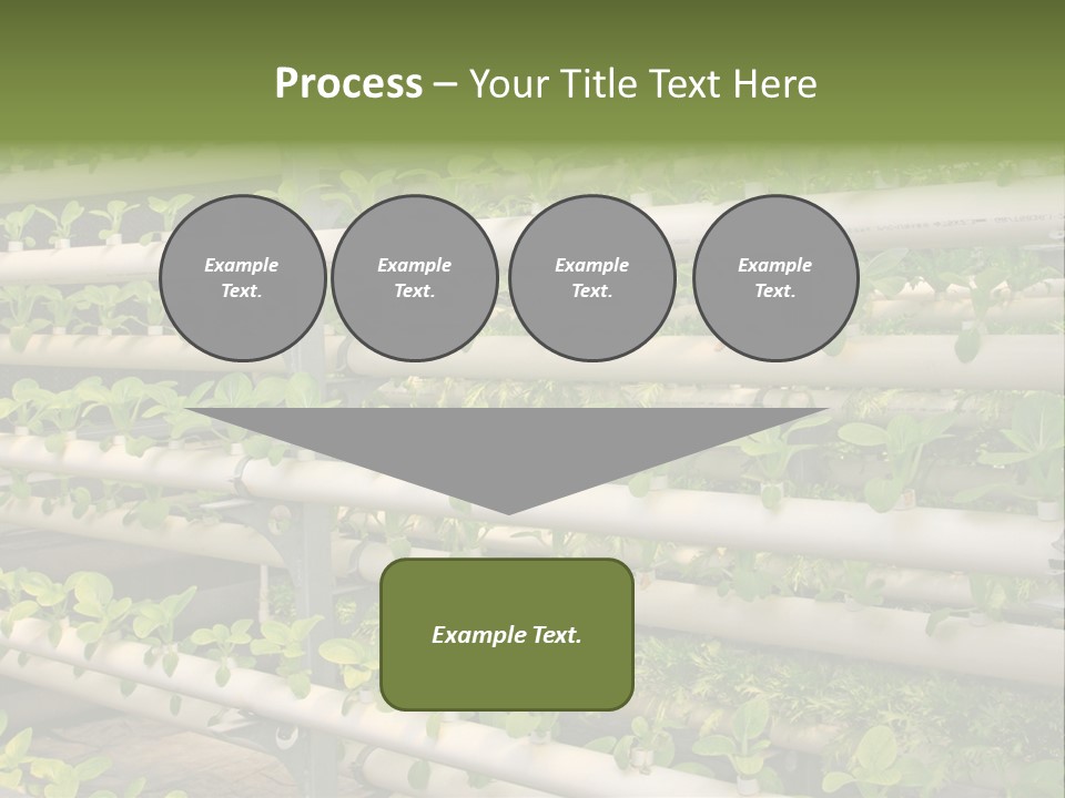 Plants Spring Cultivation PowerPoint Template