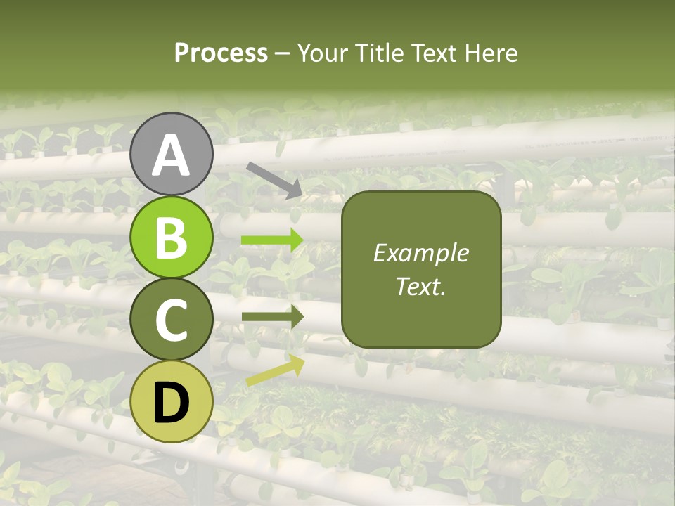 Plants Spring Cultivation PowerPoint Template
